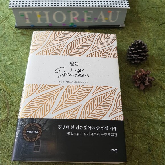 컨텐츠 이미지