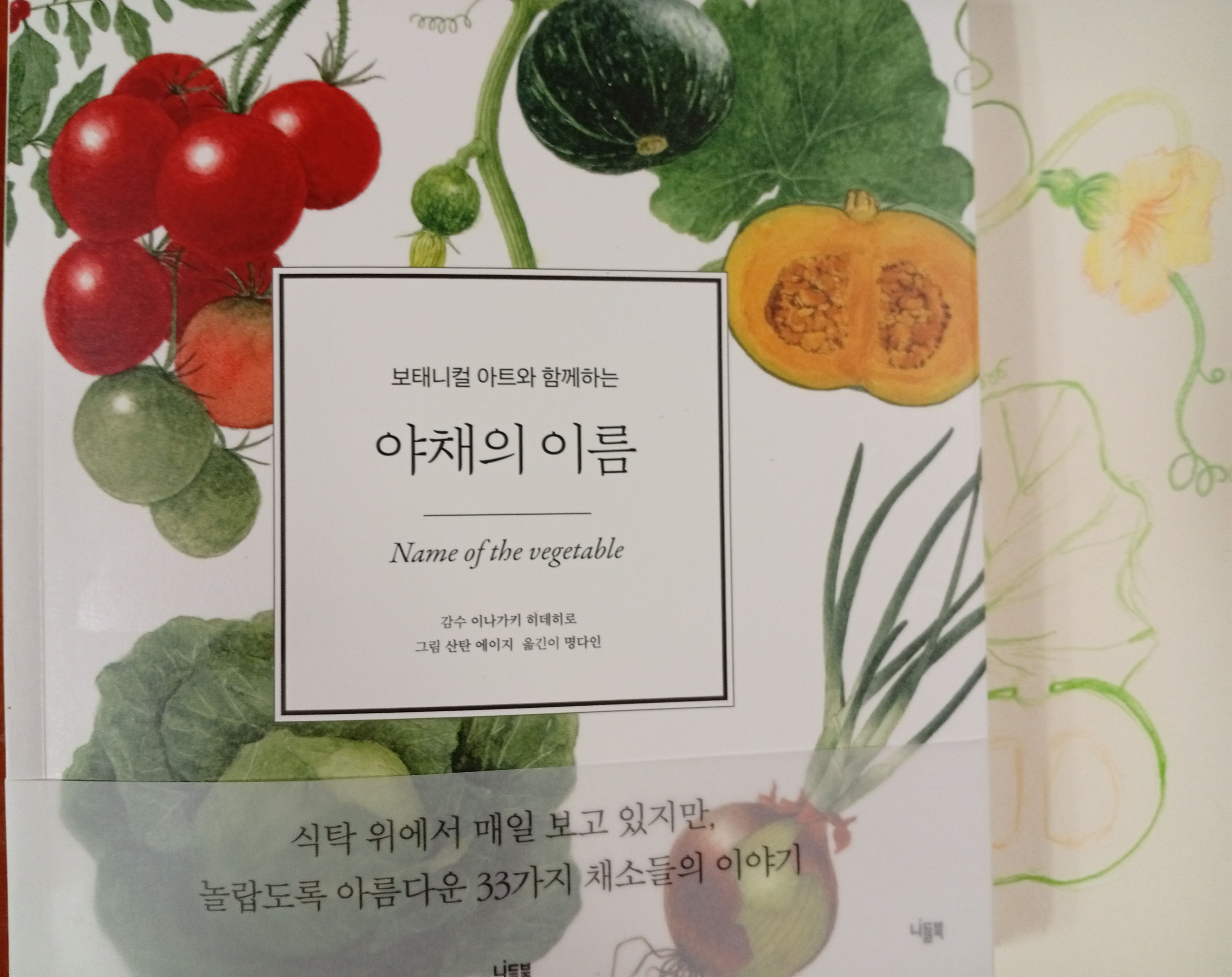 첨부된 사진