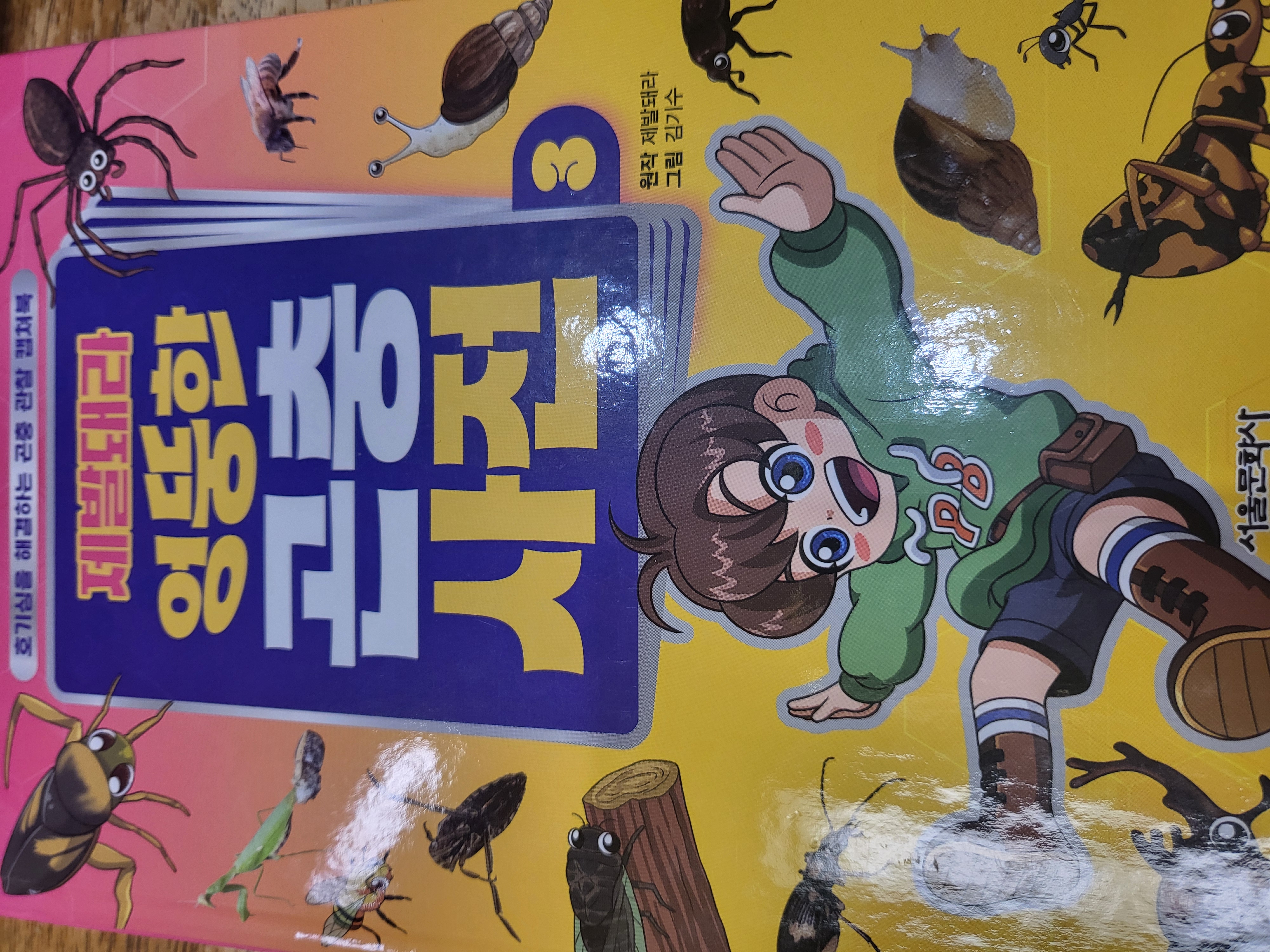 첨부된 사진