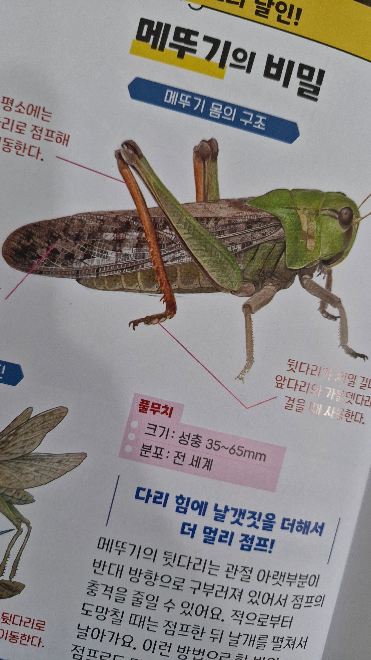 첨부된 사진