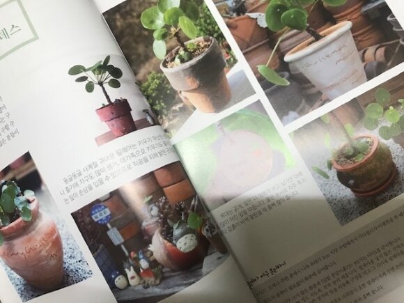 첨부된 사진