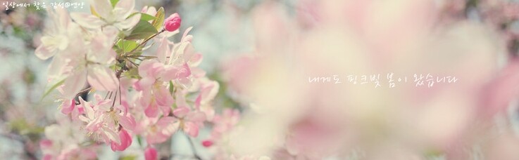 대표사진