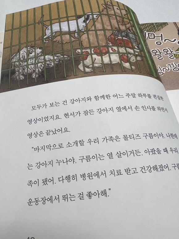 컨텐츠 이미지