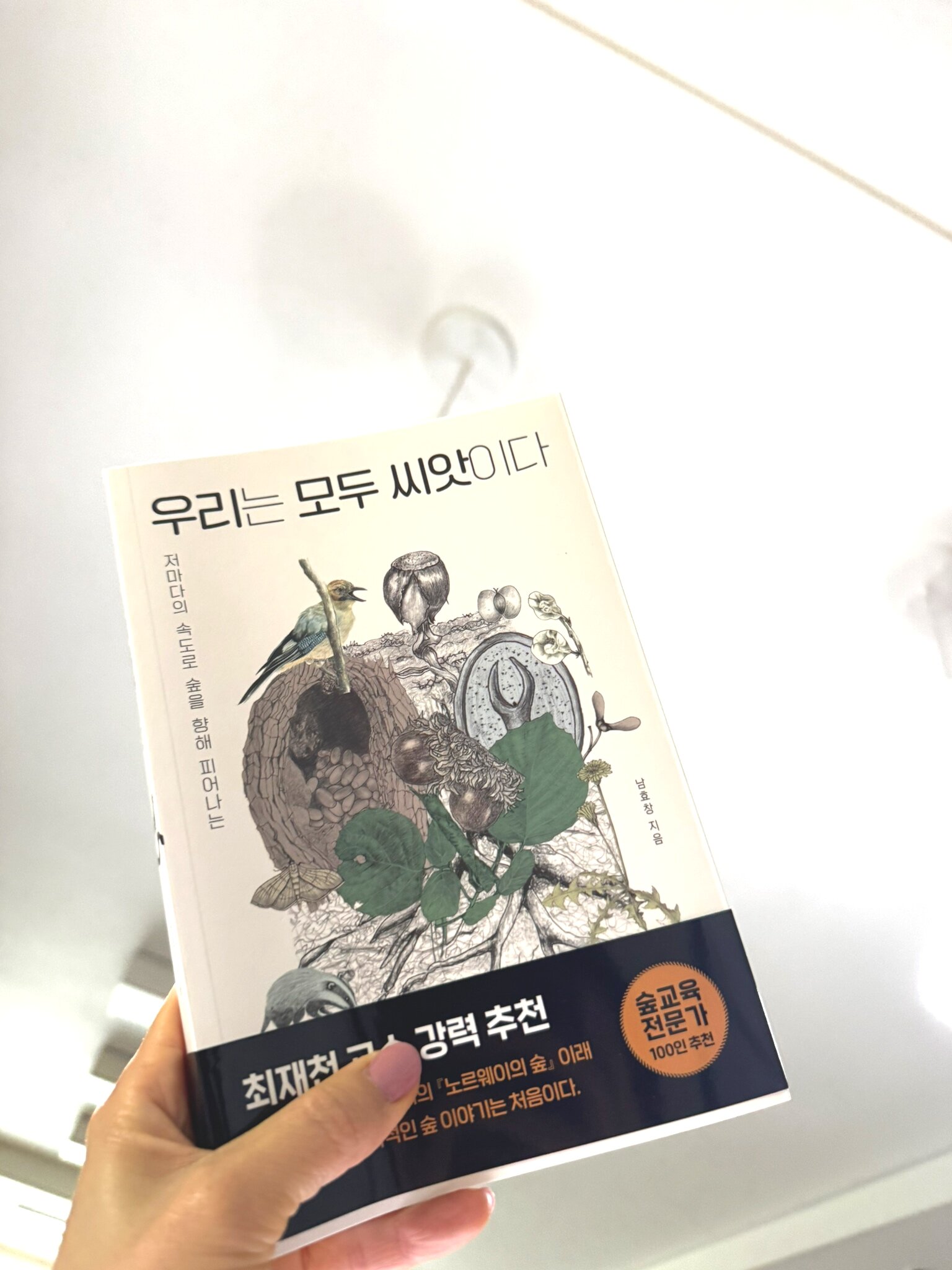 첨부된 사진