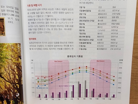 컨텐츠 이미지