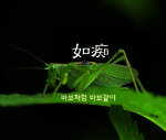 대표사진