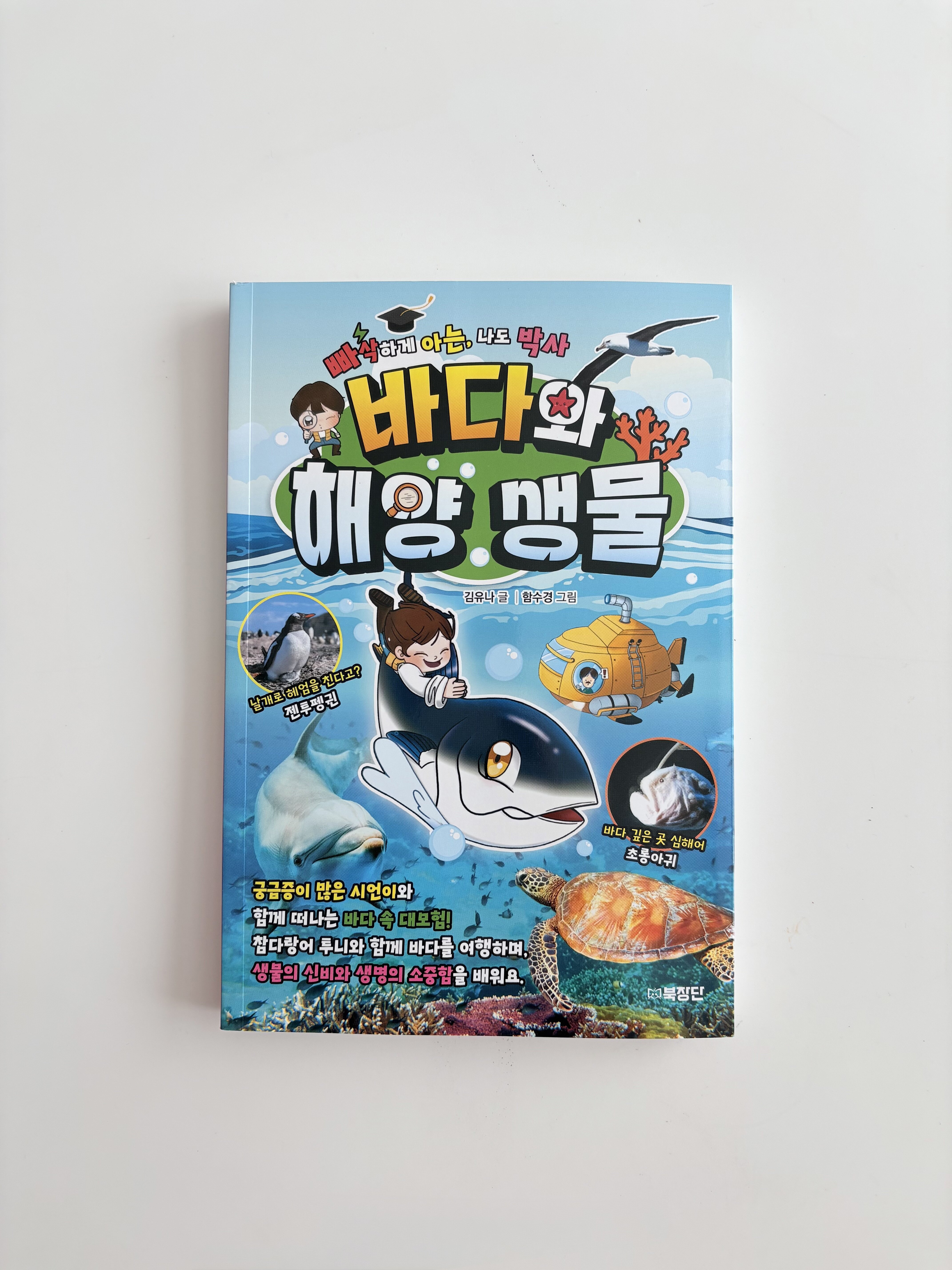 첨부된 사진
