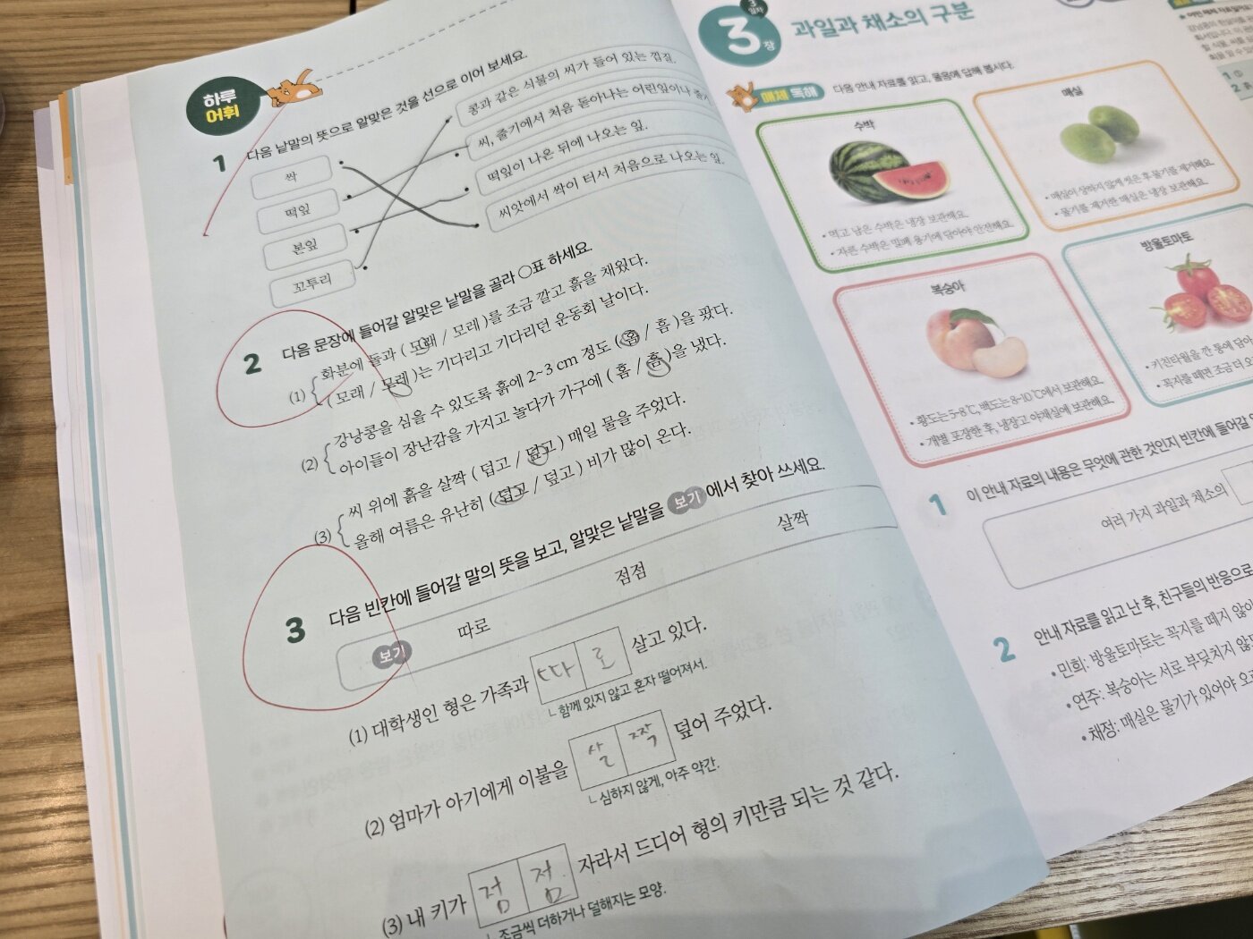 첨부된 사진