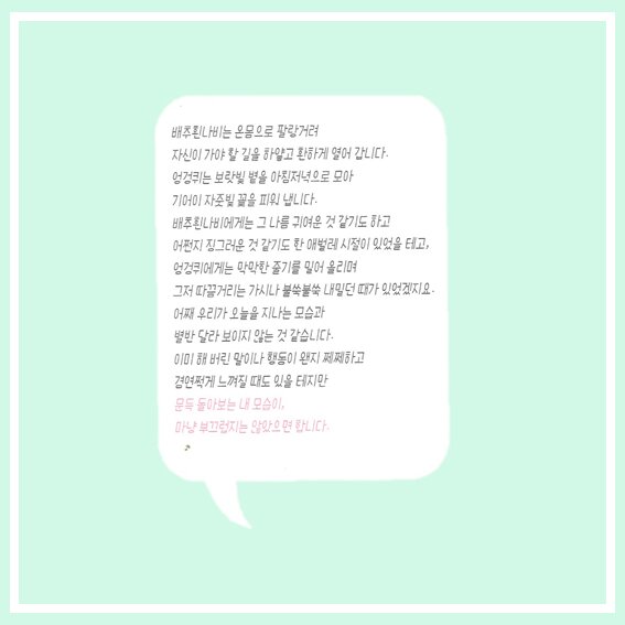 첨부된 사진