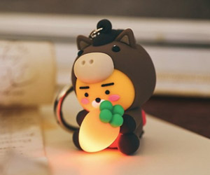 īī��������