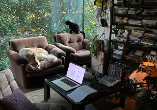 ���Ϻ����� �ϰ᡻ ������ �۰��� �۾���