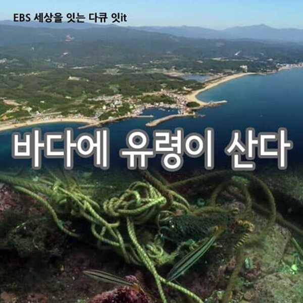 바다에 유령이 산다: 바다 쓰레기의 실태