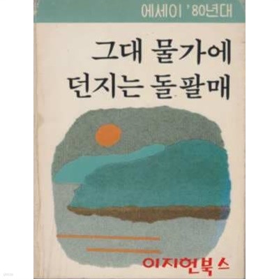 그대 물가에 던지는 돌 팔매 : 에세이 80년대