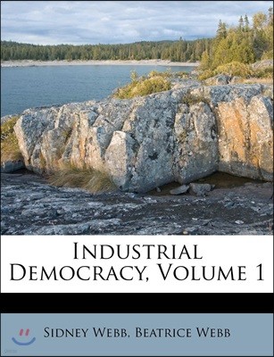 Industrial Democracy, Volume 1