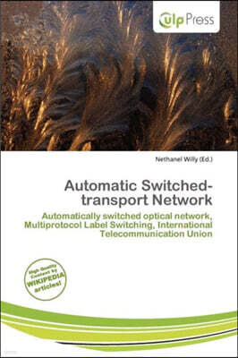 Automatic Switched-Transport Network