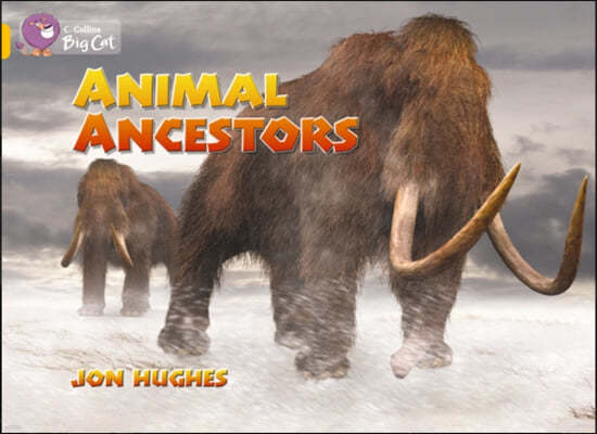 Animal Ancestors Workbook