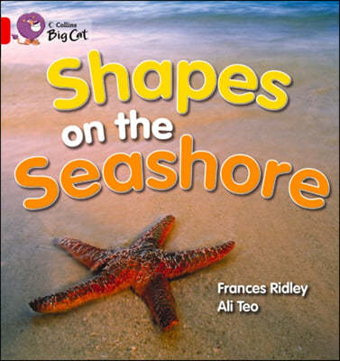 Shapes on the Seashore Workbook