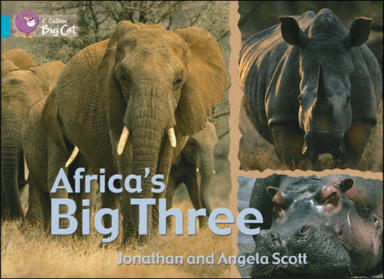 Africa's Big Three Workbook