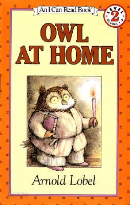 Owl at Home