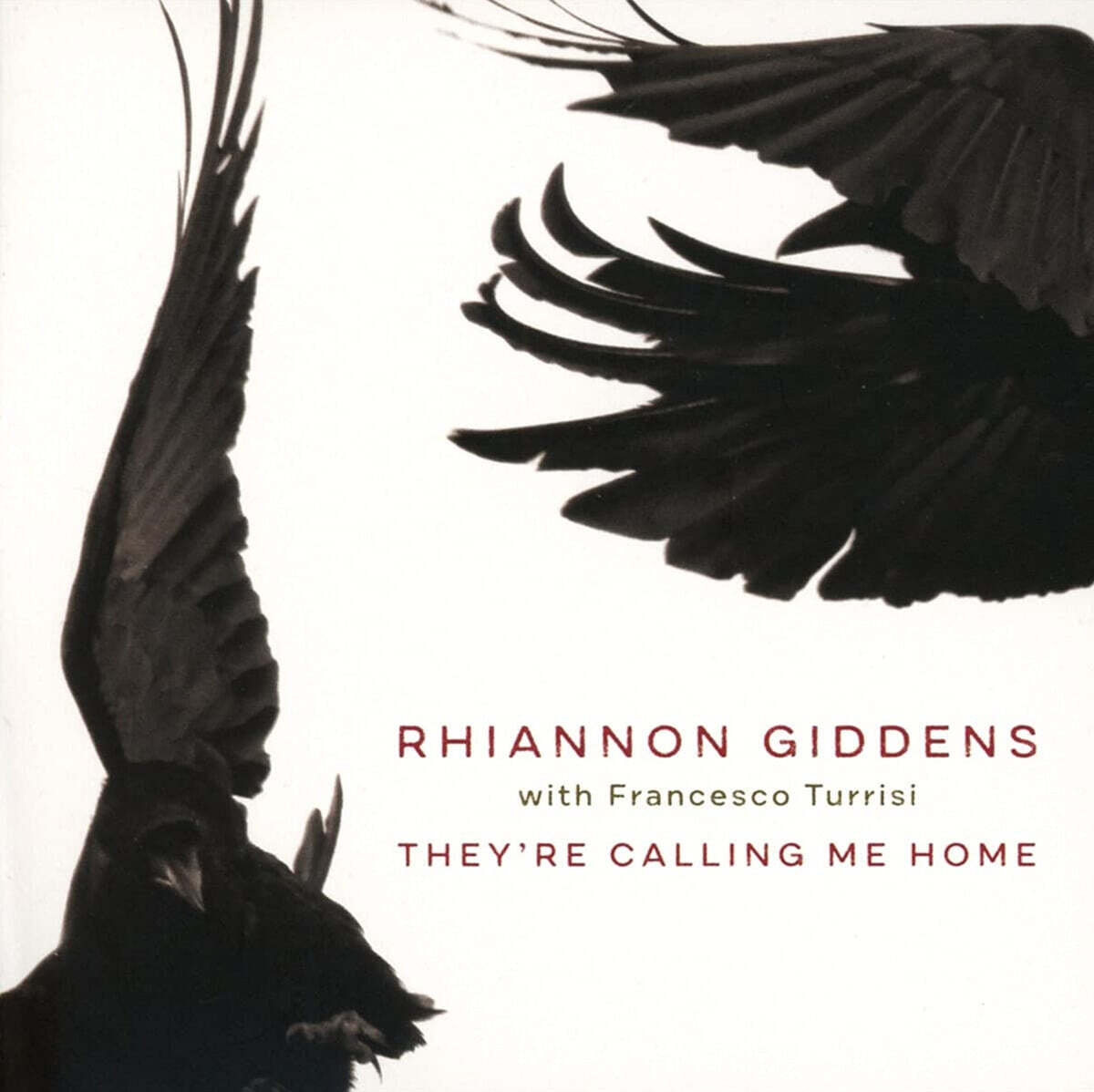 Rhiannon Giddens (리애넌 기든스) - They're Calling Me Home (With Francesco Turrisi)