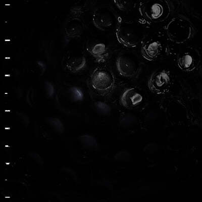 Crumb (ũ) - 2 Ice Melt [LP] 