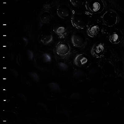 Crumb — 2집 Ice Melt 앨범 커버