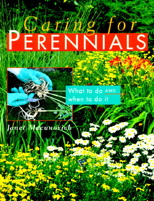 Caring for Perennials: What to Do and When to Do It