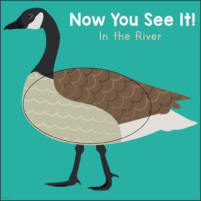 Now You See It! River