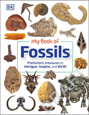 My Book of Fossils: A Fact-Filled Guide to Prehistoric Life