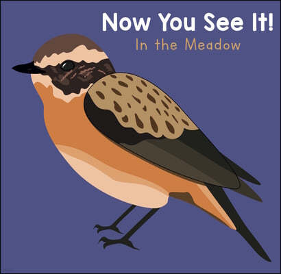 Now You See It! Meadow