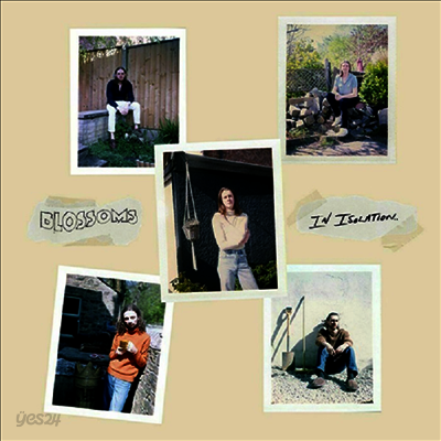Blossoms - In Isolation (2LP)