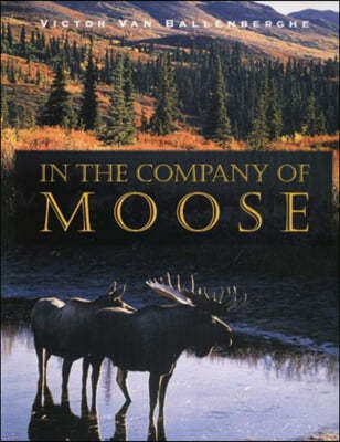 In the Company of Moose