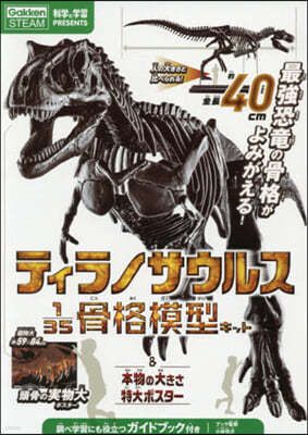 ティラノサウルス1/35骨格模型キット&本物の大きさ特大ポスタ-