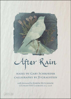 After Rain