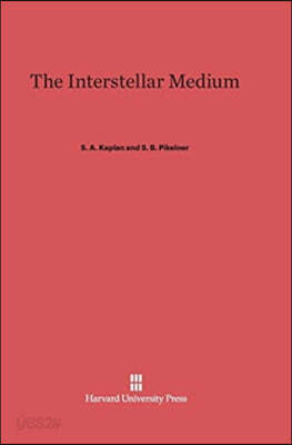 The Interstellar Medium