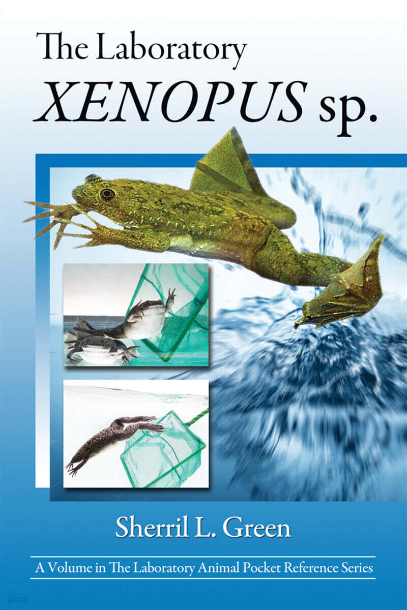 Laboratory Xenopus sp.