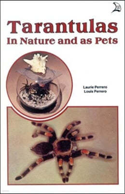 Tarantulas in Nature and As Pets