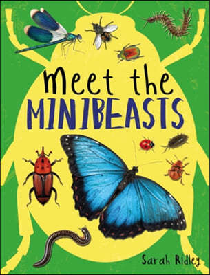 A Meet the Minibeasts