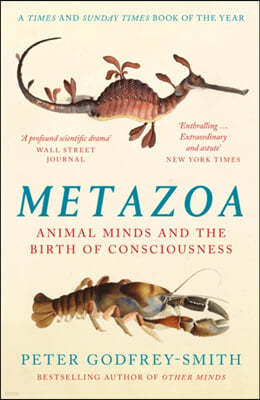 Metazoa