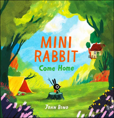 A Mini Rabbit Come Home