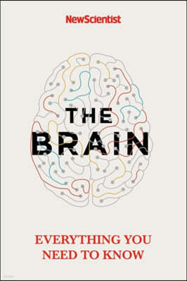 The Brain: Everything You Need to Know