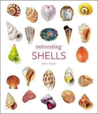 Interesting Shells - 예스24
