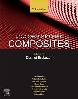 Encyclopedia of Materials: Composites