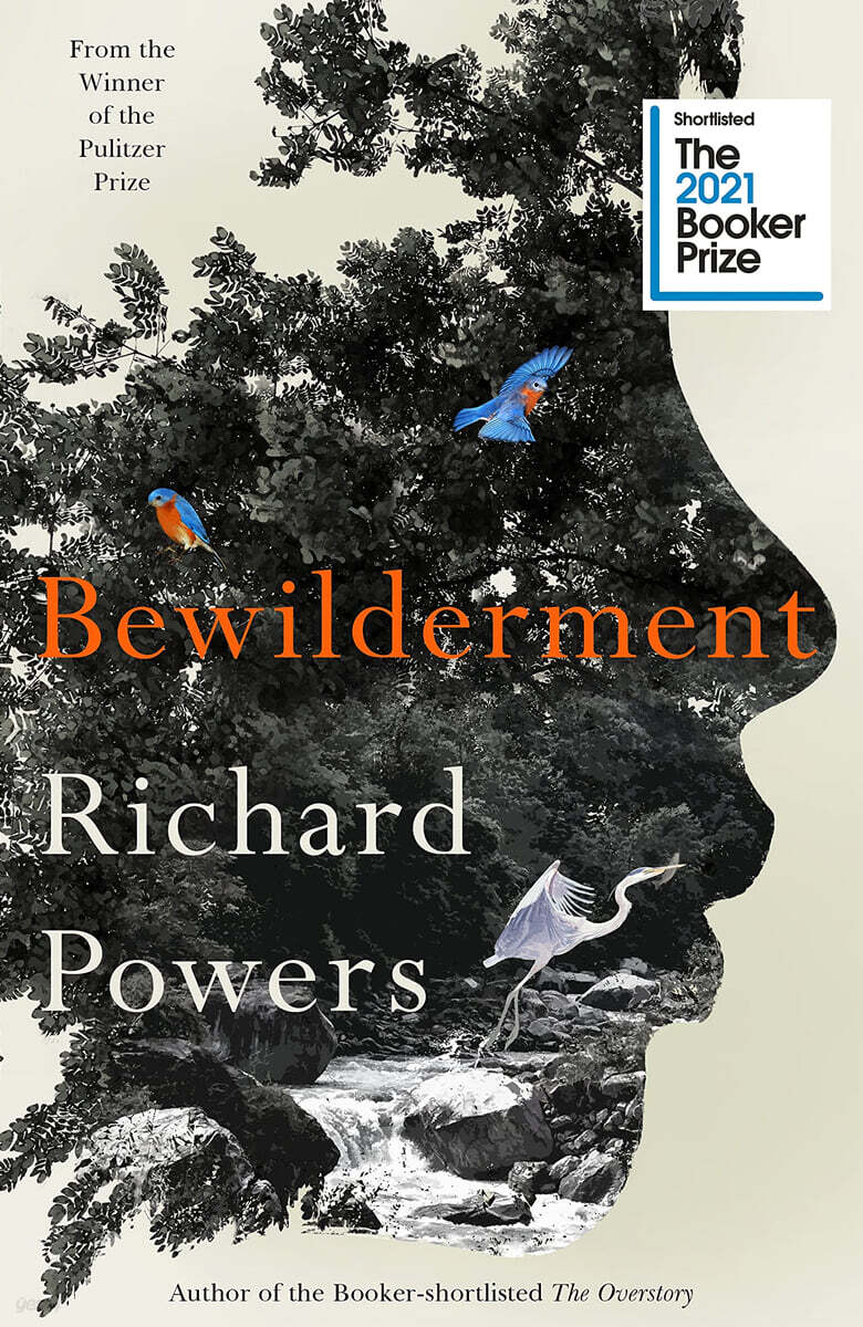 The Bewilderment