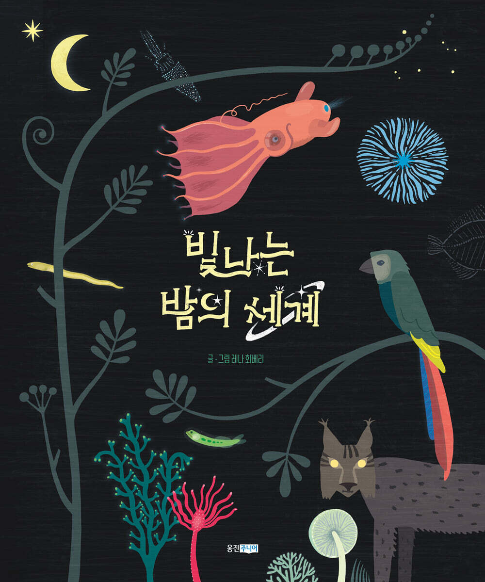빛나는 밤의 세계