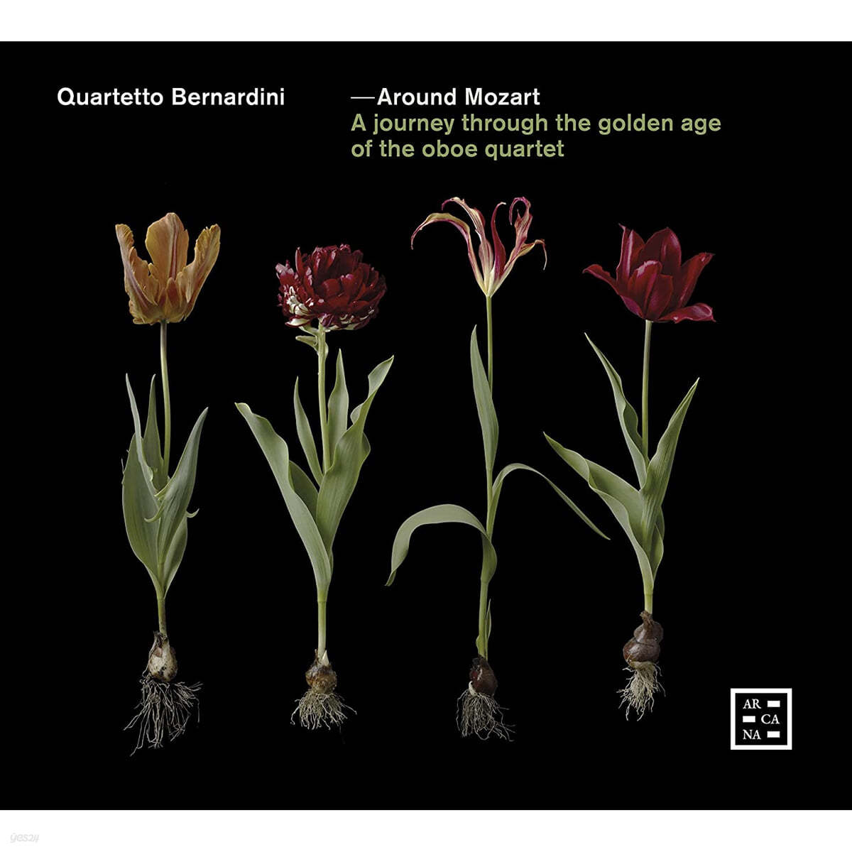 Quartetto Bernardini 모차르트: 오보에 사중주 외 (Mozart: Quartet in F Major K.370 / 368b)