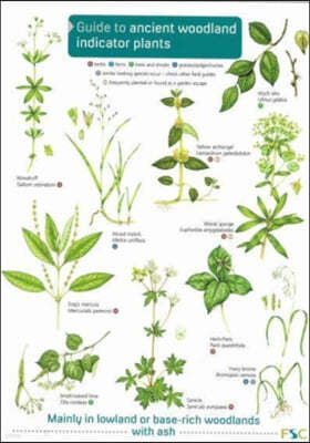 Guide to Ancient Woodland Indicator Plants