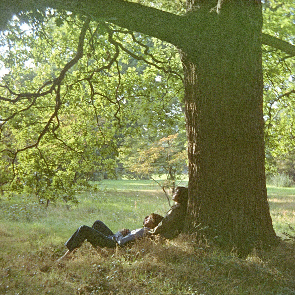 John Lennon (존 레논) - Plastic Ono Band: The Ultimate Mixes [2LP]