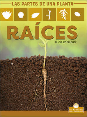 Raices (Roots)