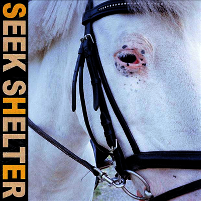 Iceage — Seek Shelter 앨범 커버